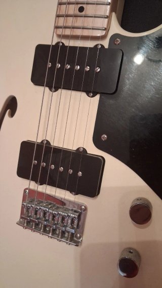 Squier Thinline Guitarra Eléctrica