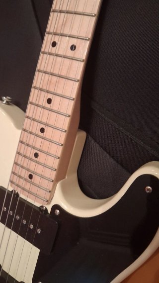 Squier Thinline Guitarra Eléctrica