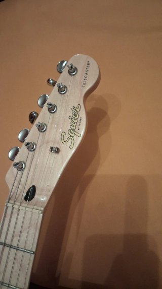 Squier Thinline Guitarra Eléctrica