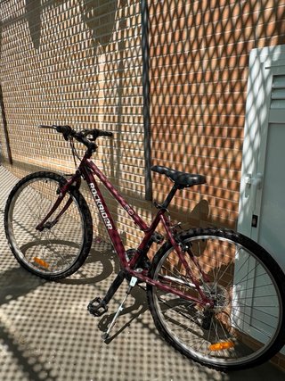 Bicicleta Rockrider 5.0 Unisex