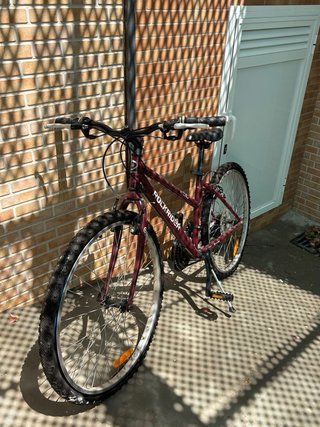 Bicicleta Rockrider 5.0 Unisex