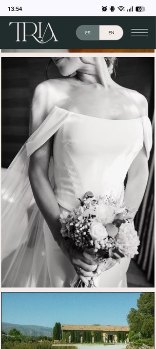 Vestido Novia Pronovias Palabra de Honor