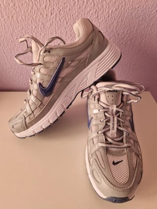 Zapatillas Nike P6000 Gris y Azul