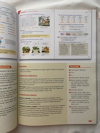 Lengua castellana, 4 Primaria Proyecto Los Caminos