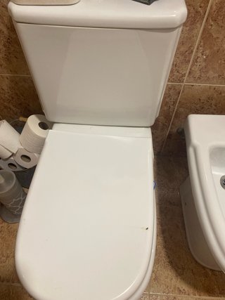 Conjunto Bañera, Bide y Taza Roca. Urge venta