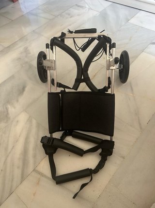 Carrito para perro con problemas de movilidad