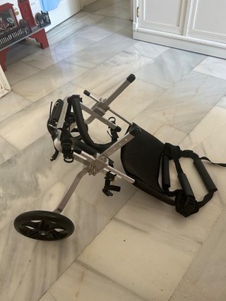 Carrito para perro con problemas de movilidad