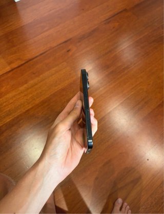 iPhone 16 Pro Negro/Plateado
