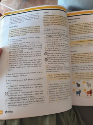 Llengua catalana, 2 ESO
