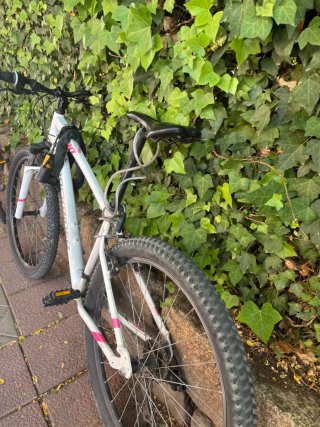 Bicicleta de Montaña Blanca