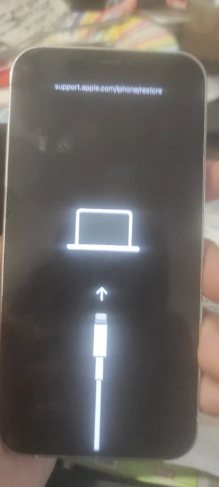iPhone 12 Pro Plata