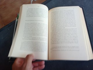 Lobo: Un topo en las entranas de ETA (Biografia...
