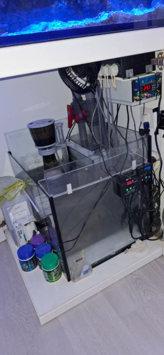 Acuario Marino Completo 70x70x60