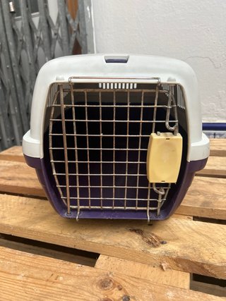 Transportín Perro/Gato/Conejo/Gallina