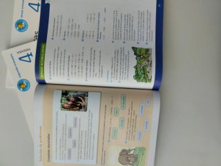 Matemáticas, 4 Primaria Saber Hacer Contigo