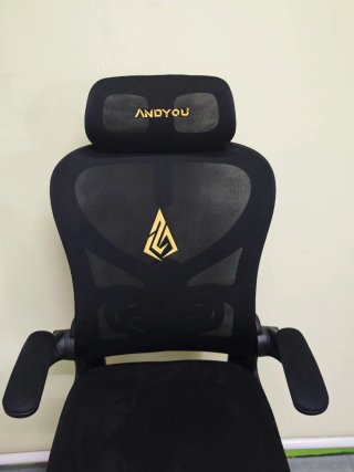 Silla ergonómica ANDYOU Negra