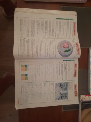 Diversificación Curricular Ámbito Científico y ...