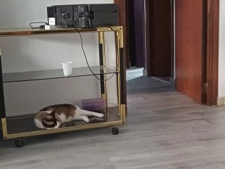 Mesa de TV con ruedas