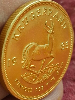 Moneda oro krugerrand