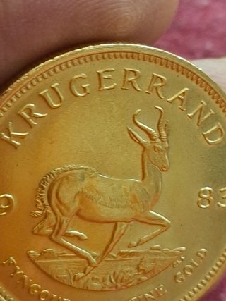 Moneda oro krugerrand