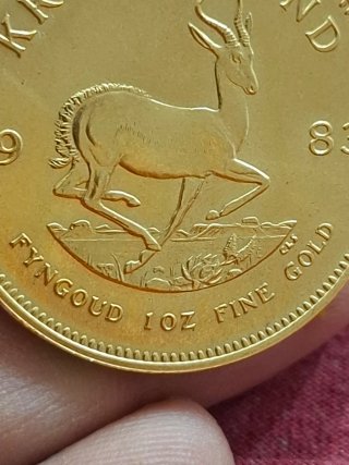 Moneda oro krugerrand