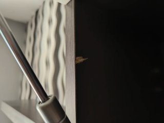 Estanterías Ikea Gris y Blancas