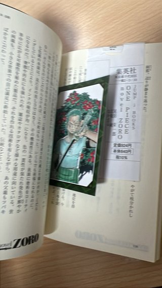 One Piece Zoro Novela 1st
