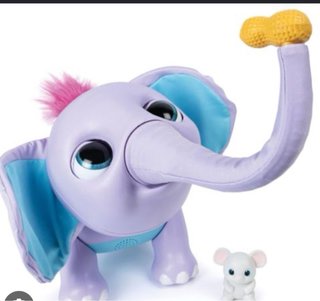 Elefante Juno