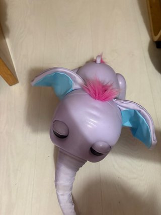 Elefante Juno