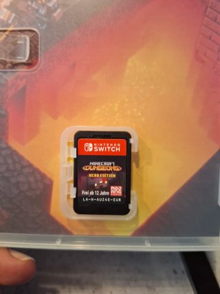 Nintendo Switch Minecraft Dungeons Hero Edition