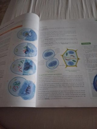 Biología, Geología y Ciencias Ambientales 1 Bac...