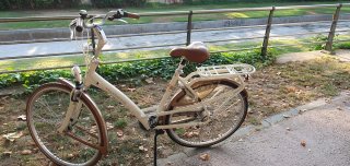 Batavus Mambo Paseo