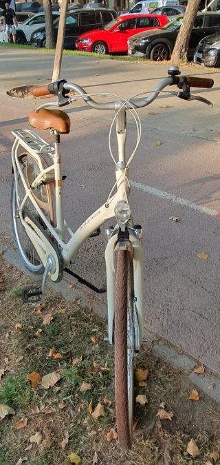 Batavus Mambo Paseo