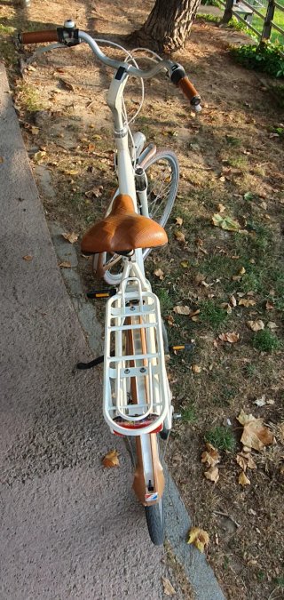 Batavus Mambo Paseo