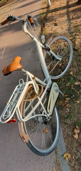 Batavus Mambo Paseo