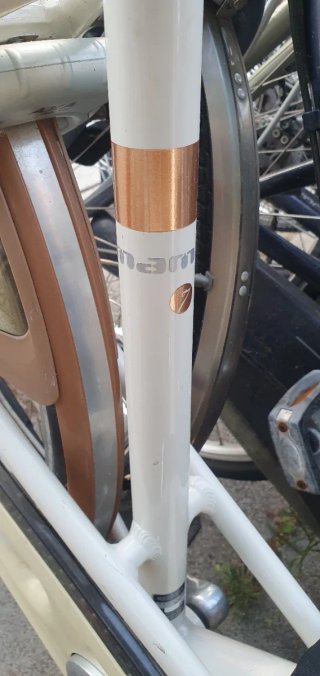 Batavus Mambo Paseo