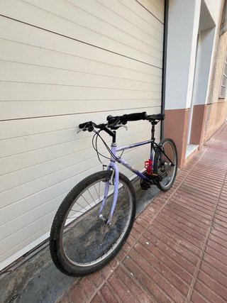 Bicicleta Orbea Paseo Morada