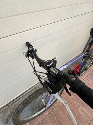 Bicicleta Orbea Paseo Morada
