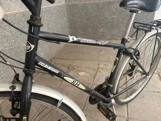 Bicicleta BH Boston