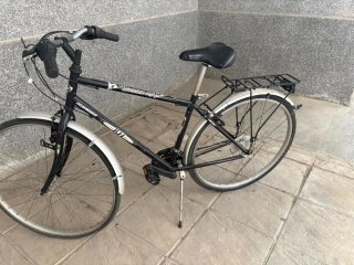 Bicicleta BH Boston
