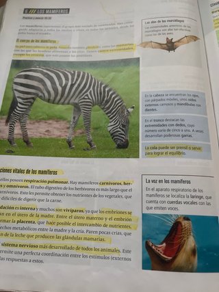 Biología Y Geología 1 Secundaria