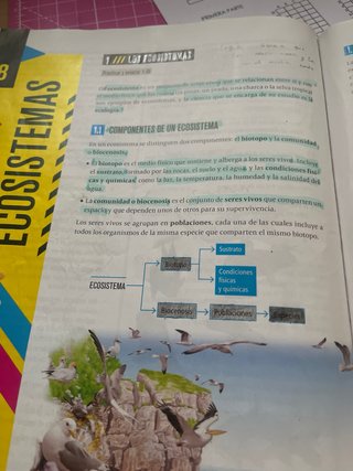 Biología Y Geología 1 Secundaria