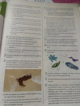 Biología Y Geología 1 Secundaria