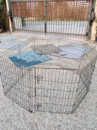 Parque para mascotas metálico