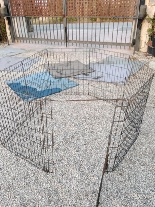 Parque para mascotas metálico