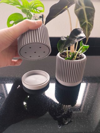 Maceta pequeña para plantas