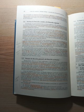 Principios de Derecho Civil I