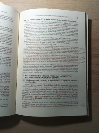 Principios de Derecho Civil I
