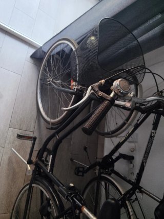 Bicicleta BH con silla infantil