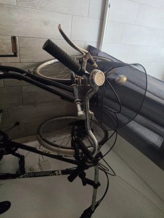 Bicicleta BH con silla infantil